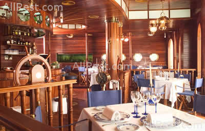 Nixe Palace 5